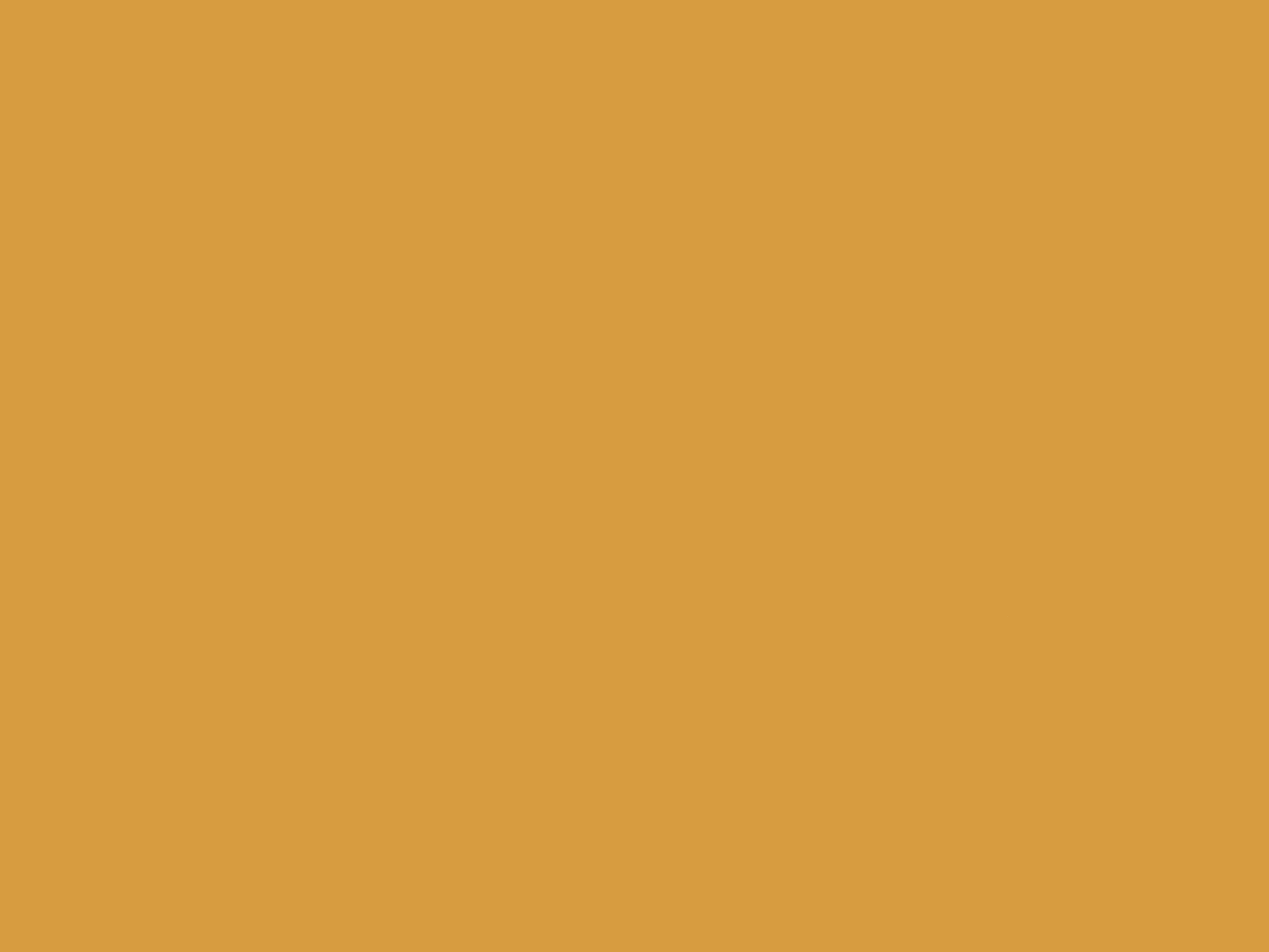 Gold Loose Chain