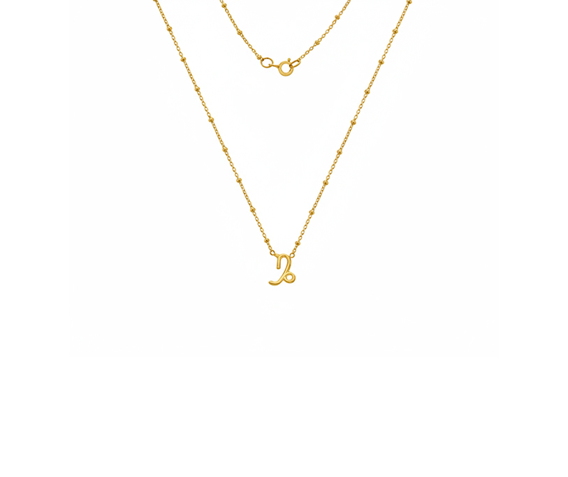 Sil Capricorn Necklace - 18" Bead chain with 2.5mic G plate